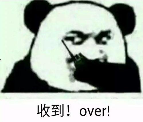 带你吃瓜好朋友,好朋友间的欢乐时光 第3张 带你吃瓜好朋友,好朋友间的欢乐时光 第3张